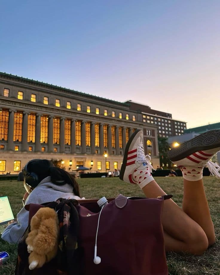 Schools you will actually love